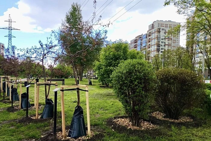 У Подільському районі комунальники пересаджують дерева та кущі, які заважають будівництву метро