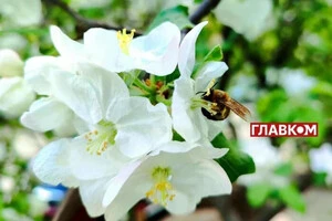 Синоптикиня Діденко дала прогноз, коли очікувати потепління