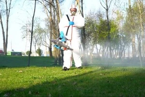 Кліщі можуть переносити небезпечні інфекції, зокрема хворобу Лайма та кліщовий енцефаліт