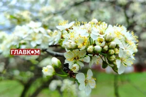 В Україні мінлива хмарність: прогноз погоди на 23 травня