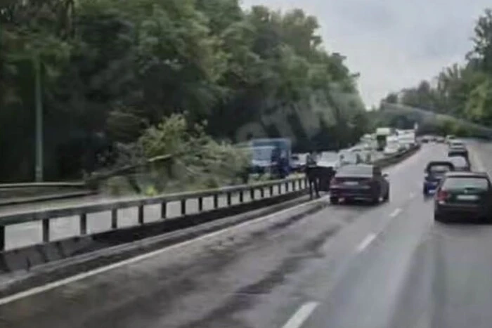 Падіння дерева на Олени Теліги: рух до Куренівки заблоковано, сталася ДТП