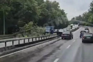 Через падіння дерева затримуються тролейбуси № 27, 30, 31, які рухаються в напрямку станції метро «Почайна»