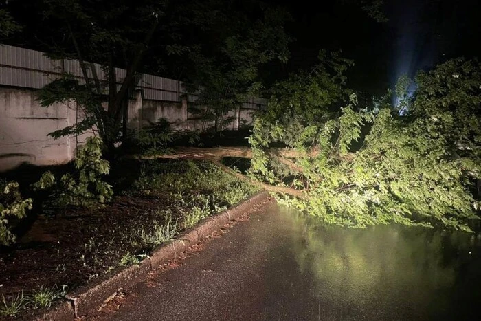 Вночі рятувальники прибрали два повалених дерева у столиці (фото)