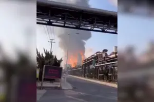 Завод спеціалізується на розробці, виробництві та продажі технологій для пестицидів, фармацевтичних препаратів та пов'язаних хімічних проміжних продуктів