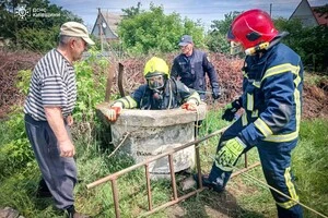 Тваринка перебувала на глибині та потребувала негайної допомоги