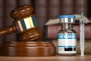 Франція ухвалила закон про евтаназію для хворих