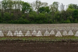 Фортифікаційні укріплення на Сумщині