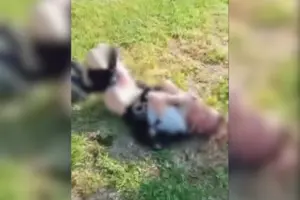 На Дніпропетровщині підлітки катували хлопця. Поліція знайшла учасників інциденту