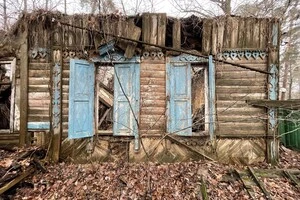 У Пущі-Водиці знищено старовинний дерев’яний будинок (фото)