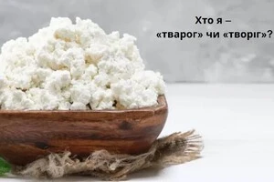 «Творіг» чи «тварог»: мовознавиця пояснила, як правильно