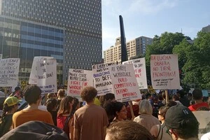 Губернатор Флориди дозволив водіям збивати протестувальників