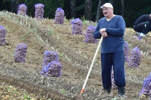 Лукашенко роздав поради громадянам