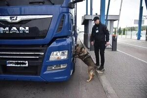 Кінолог Євген тренує Міру перед чергуванням на кордоні