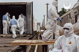 На ідентифікацію тіл загиблих українців, переданих Росією, піде понад рік – МВС