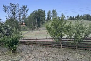 У горах Буковини температура серед червня впала до нуля 