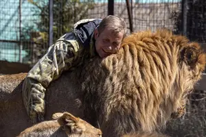 У Криму лев напав на Олега Зубкова: колаборанта тяжко травмовано