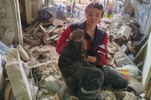 За словами зоозахисників, врятувало кота те, що господар точно знав, де він мав бути в момент атаки