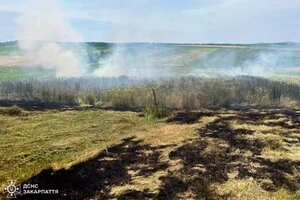 На Закарпатті жінка згоріла живцем під час спалювання сухостою