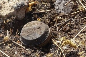 Парламент Польщі скасував заборону на протипіхотні міни