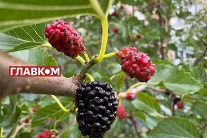 Прогноз погоди на 27 червня