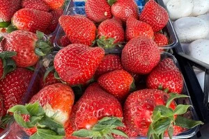 Для придбання свіжих продуктів також можна відвідати комунальні ринки