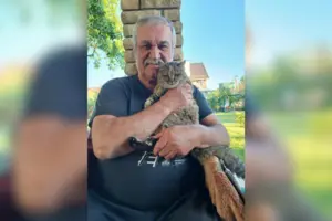 Василь Шкляр не їздить далеко з дому заради кішки. Зворушлива історія письменника