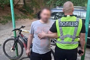 За напад на авто ветеранки чоловікові загрожує до семи років позбавлення волі