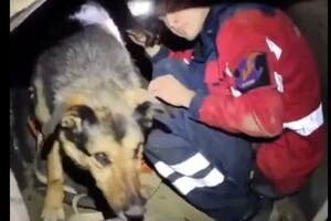 Агата ховалася від обстрілу і втрапила у пастку, з якої сама вибратися не змогла