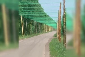 Окремі маршрути нових антидронових коридорів розтягнулися на декілька кілометрів