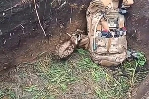 Екологи повідомили: на фронті та прифронтових громадах з'явилися червонокнижні тварини