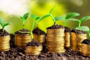 У які активи найкраще інвестувати під час війни: роз’яснення експерта