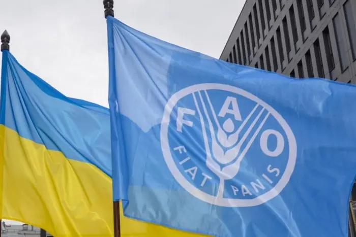 Україна ввійшла до Ради Продовольчої організації ООН: МЗС пояснило, що це дає
