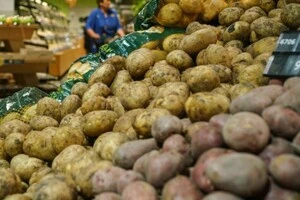 Картопляна криза в Росії означає, що економіка Путіна на межі краху – Telegraph