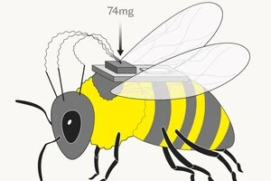 «Кіборгів-бджіл» можна буде використовувати в таємних операціях 