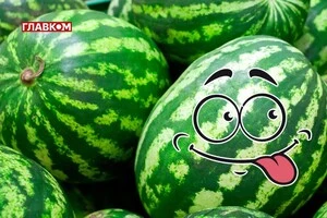 Звідки кавун? Україна цьогоріч розширила географію імпорту