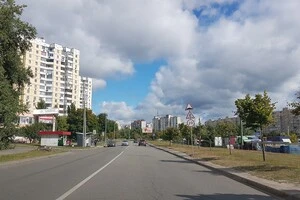 Рух транспорту вулицею Оноре де Бальзака буде обмежено до 10 вересня (схема)