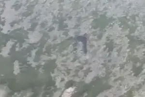 У Росії знайдено уламки гелікоптера Мі-8, який зник два дні тому