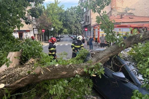 Бухарест накрив потужний буревій: є загиблі (фото, відео)