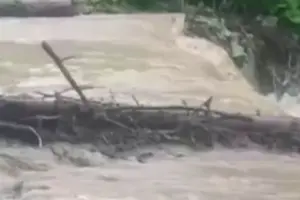 На Буковині у горах вирує негода: прикордонники звернулися до українців