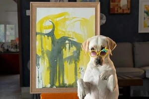 Собака-художник став популярним у соцмережах