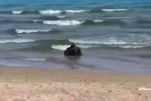 Українські військові ліквідували міну, прибиту хвилями до узбережжя (відео)