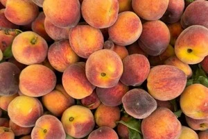 Для придбання свіжих продуктів також можна відвідати комунальні ринки