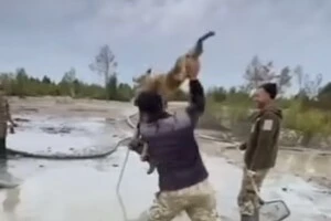 П'яний чоловік знущався з собаки, бо той з'їв його обід: поліція затримала зловмисника