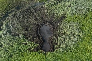 ДБР почав розслідування падіння літака на Волині