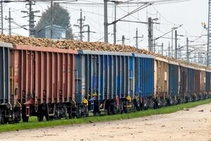 Гендиректор Федерації роботодавців транспорту пояснив, чому держава має дотувати пасажирські перевезення залізницею