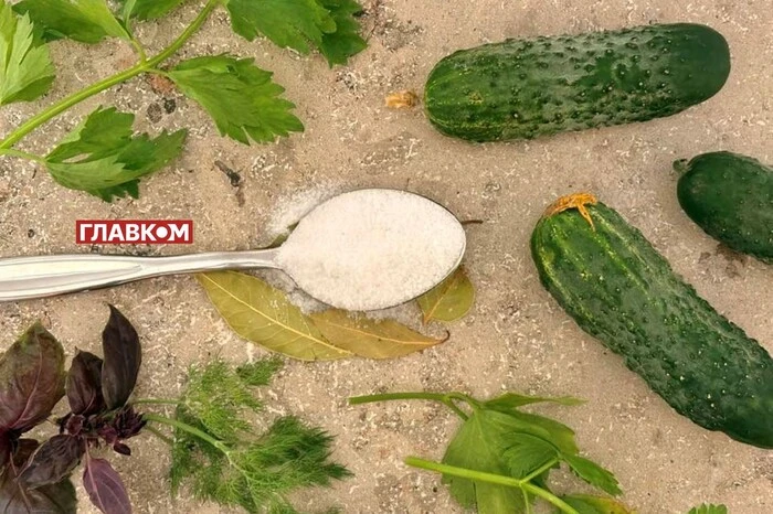 Консервація огірків у розпалі. В Україні дефіцит солі, де купити