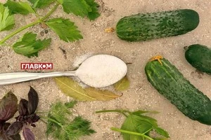 Консервація огірків у розпалі. В Україні дефіцит солі, де купити
