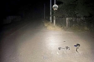 На Київщині п’яний водій на Volkswagen збив жінку та втік з місця ДТП