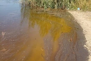 Температурний «шок»: на Дніпропетровщині у річці Вовча гине риба