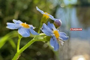 Прогноз погоди на 26 липня